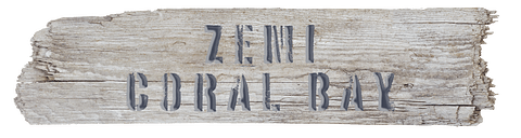 ZEMI